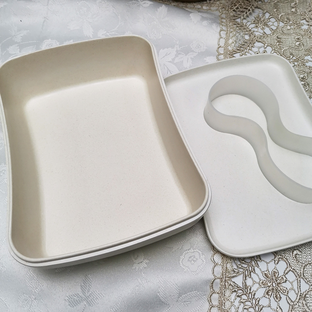 Nativus Color Eco-Friendly Biodegradable Square Bento Prandium Box