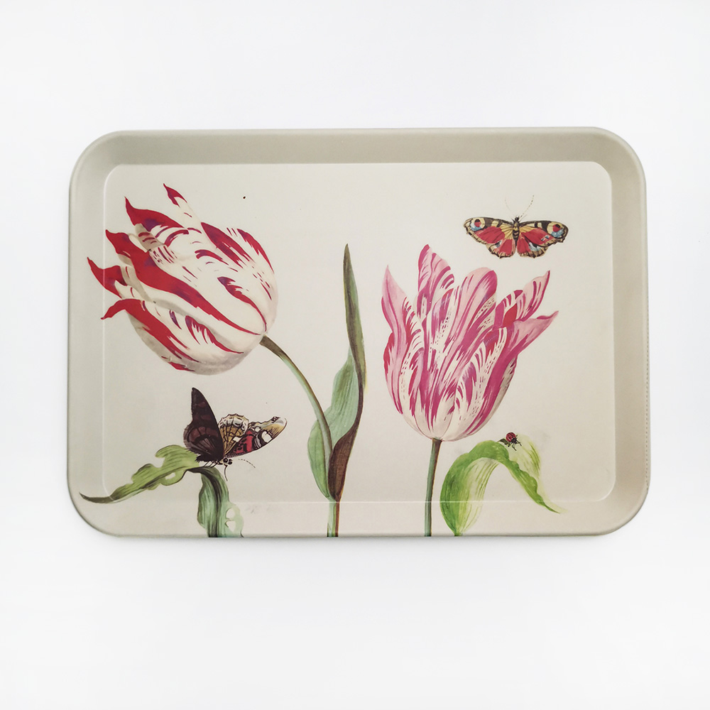 Restaurant Melamine Custom Impensis Cute Currus Food Tray Servientes